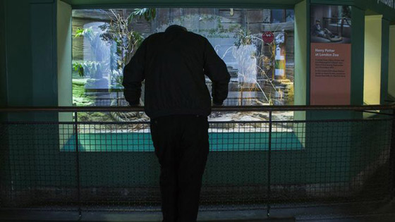 عوالم سحرية: إليكم جولة في أهم وأشهر مواقع تصوير هاري بوتر الساحر صورة رقم 9