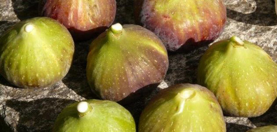  ���� ��� 2 - ���� ����� ���� ����� ������� ������� ���������!