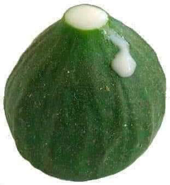  ���� ��� 10 - ���� ����� ���� ����� ������� ������� ���������!