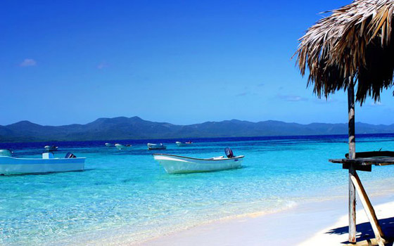 صور: مخلوق بحري غامض ألقت به الأمواج على أحد شواطئ أستراليا صورة رقم 2