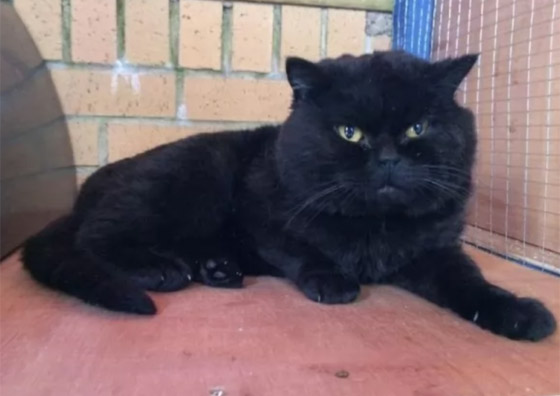  ���� ��� 5 - ����� �� ��������.. ����� 10 �� ����� ����� ������� ������� ��������