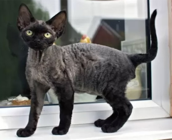  ���� ��� 7 - ����� �� ��������.. ����� 10 �� ����� ����� ������� ������� ��������