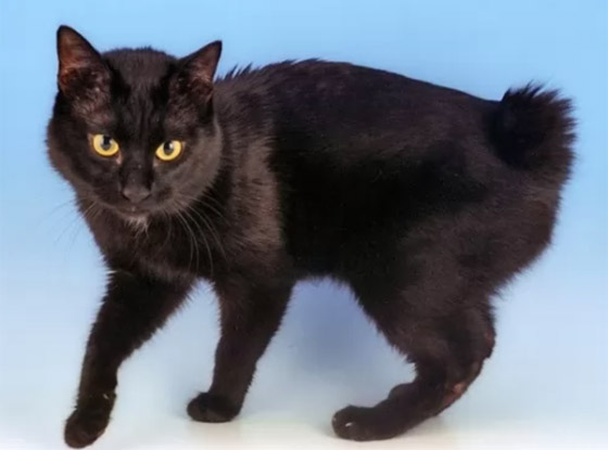  ���� ��� 9 - ����� �� ��������.. ����� 10 �� ����� ����� ������� ������� ��������