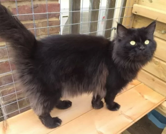  ���� ��� 10 - ����� �� ��������.. ����� 10 �� ����� ����� ������� ������� ��������