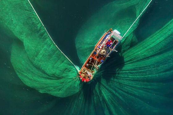 صور جميلة خلابة.. لوحات آسرة بألوان زاهية على صفحة المحيط! صورة رقم 1