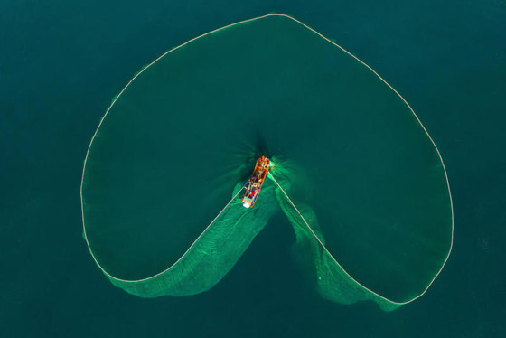 صور جميلة خلابة.. لوحات آسرة بألوان زاهية على صفحة المحيط! صورة رقم 3