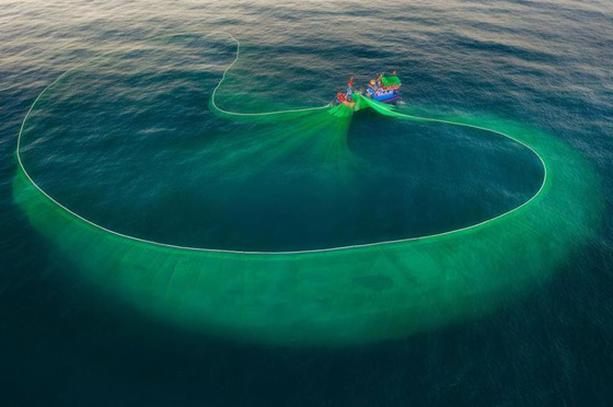 صور جميلة خلابة.. لوحات آسرة بألوان زاهية على صفحة المحيط! صورة رقم 6