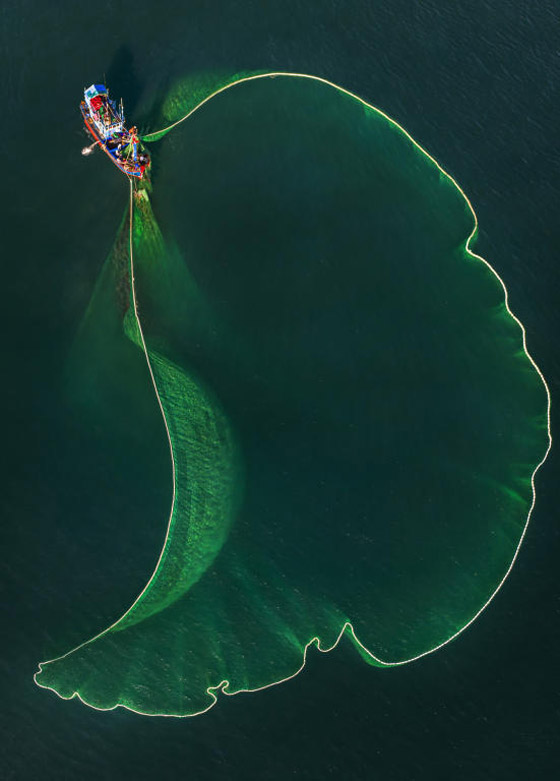 صور جميلة خلابة.. لوحات آسرة بألوان زاهية على صفحة المحيط! صورة رقم 7