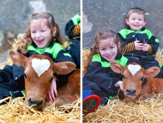 صور رائعة.. عندما يلعب الحظ دور البطولة صورة رقم 1