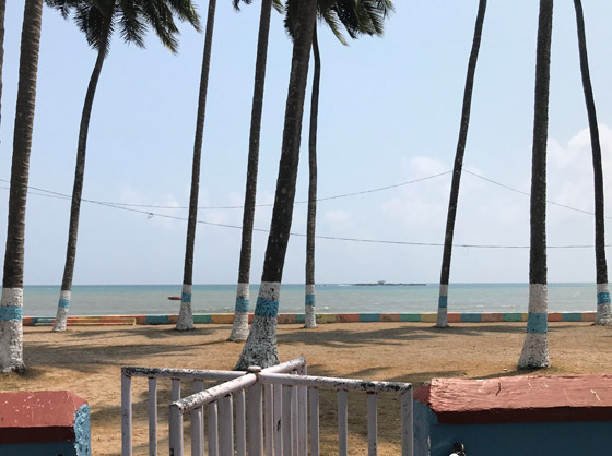 صور رائعة.. عندما يلعب الحظ دور البطولة صورة رقم 11