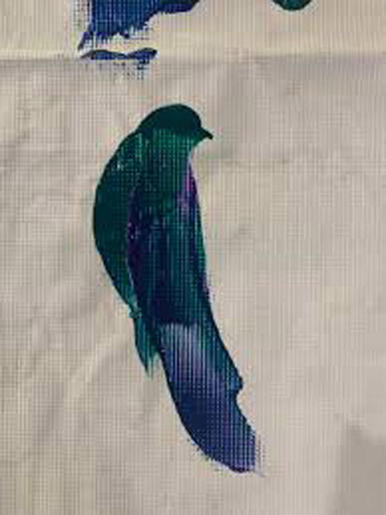 صور رائعة.. عندما يلعب الحظ دور البطولة صورة رقم 2