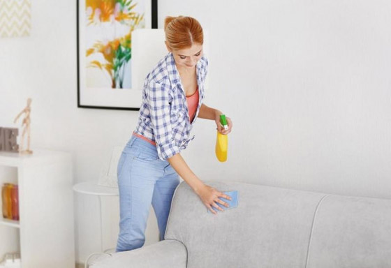 أفضل طريقة لتنظيف وسائد الأريكة في المنزل صورة رقم 1
