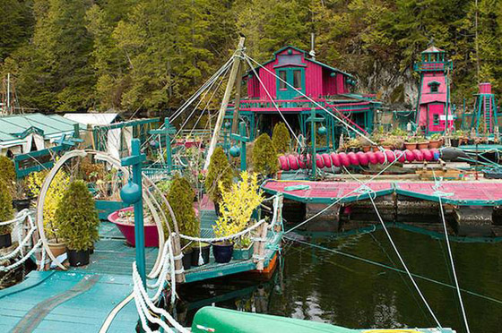 بنيا جزيرة منفصلة عن العالم منذ 29 عاماً..كيف يعيش ثنائي في عزلة تامة؟ صورة رقم 6