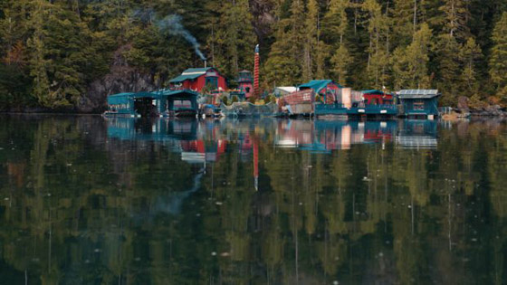 بنيا جزيرة منفصلة عن العالم منذ 29 عاماً..كيف يعيش ثنائي في عزلة تامة؟ صورة رقم 7