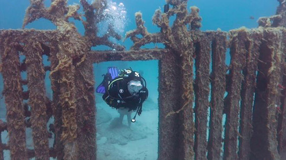 فيديو وصور: حقيقة الجدار الضخم الذي يحيط بالأرض بأكملها تحت الماء! صورة رقم 5