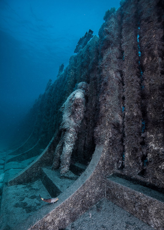 فيديو وصور: حقيقة الجدار الضخم الذي يحيط بالأرض بأكملها تحت الماء! صورة رقم 8