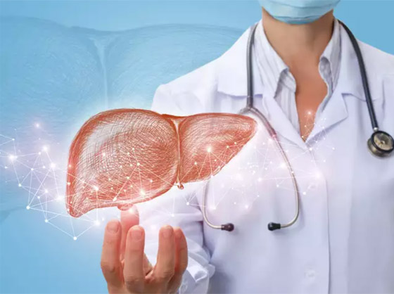 5 أطعمة لتنظيف الكبد بشكل طبيعي والتخلص من السموم والدهون صورة رقم 1 5 أطعمة لتنظيف الكبد بشكل طبيعي والتخلص من السموم والدهون صورة رقم 1