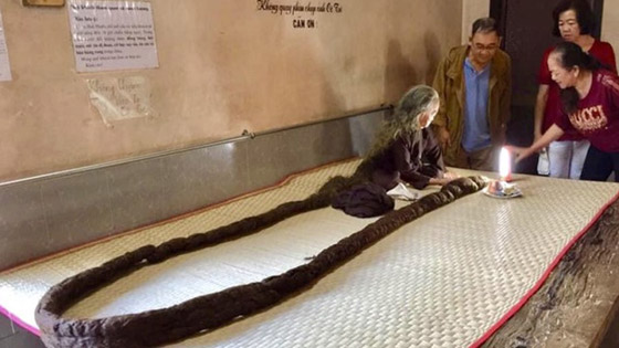 يتلوى مثل الثعبان.. عجوز لم تقص شعرها منذ 64 عاما صورة رقم 1