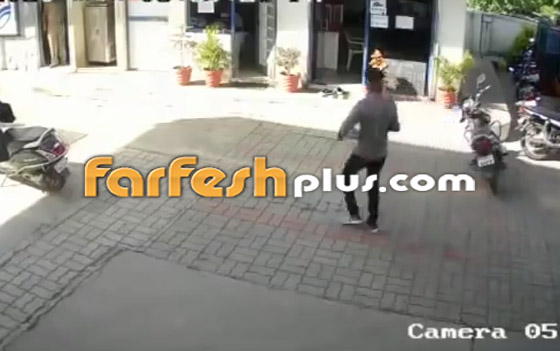 فيديو مثير: حاصرت الثعابين السامة مكتبها فكانت ردة فعلها غير متوقعة! صورة رقم 1 فيديو مثير: حاصرت الثعابين السامة مكتبها فكانت ردة فعلها غير متوقعة! صورة رقم 1