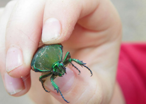 تعرفوا إلى أغرب 10 حالات مجنونة للهيستيريا الجماعية! صورة رقم 2