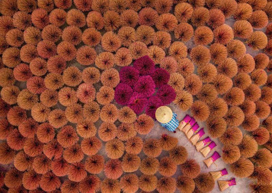 صور مدهشة: مشاهد مبهرة من الألوان الزاهية في قرية البخور في فيتنام صورة رقم 4