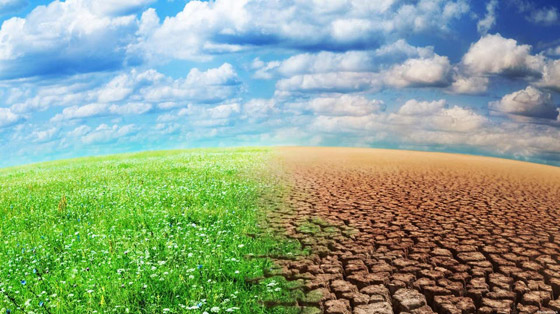 بيل غيتس يحبط العالم: أزمة تغير المناخ أسوأ من كورونا وتهدد البشرية صورة رقم 9