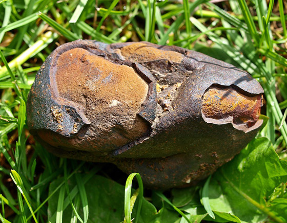 بالصور: اكتشاف نيزك تاريخي ضخم في حديقة منزل في ألمانيا صورة رقم 2