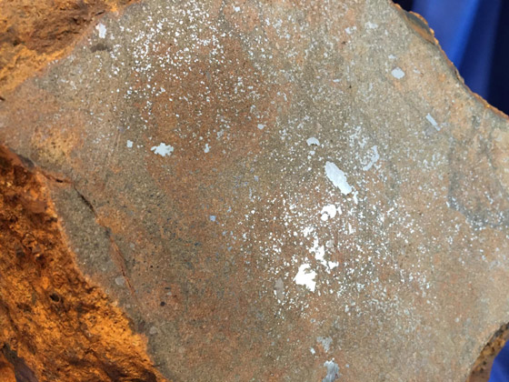 بالصور: اكتشاف نيزك تاريخي ضخم في حديقة منزل في ألمانيا صورة رقم 7