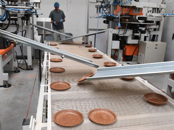 وداعا لغسل الأطباق.. طبق بولندي قابل للأكل يمكن تناوله بعد الطعام صورة رقم 8