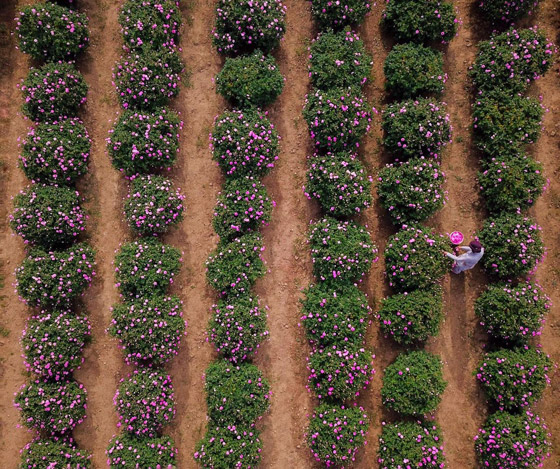 بالصور.. مناظر ساحرة في عروس المصايف السعودية صورة رقم 6