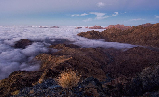 بالصور.. مناظر ساحرة في عروس المصايف السعودية صورة رقم 13