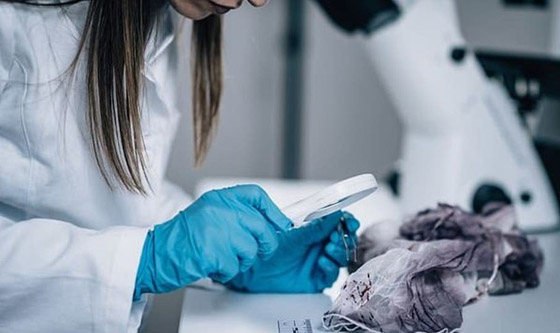 اكتشاف علمي جديد سيغير مسار البحث الجنائي الإجرامي والطب الشرعي صورة رقم 1