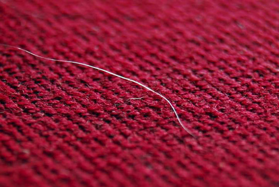 اكتشاف علمي جديد سيغير مسار البحث الجنائي الإجرامي والطب الشرعي صورة رقم 7