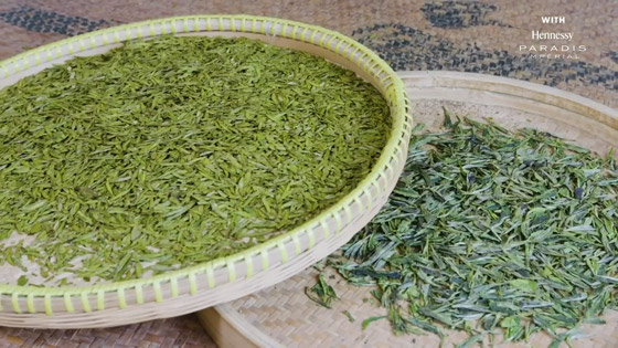 عمره أكثر من ألف عام.. تعرف على أسرار أفضل أنواع الشاي الأخضر بالعالم صورة رقم 5