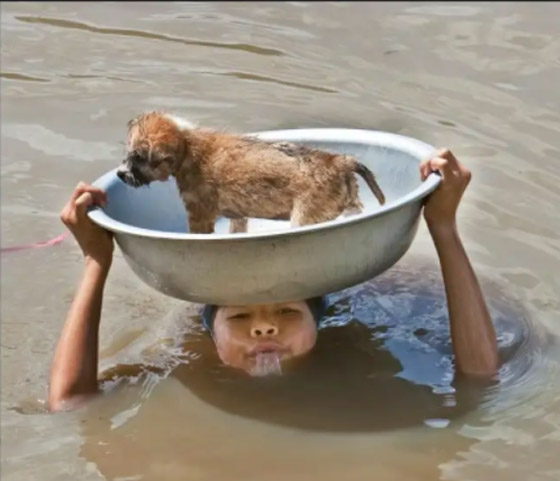 صور ملهمة فجرت الدموع من حول العالم عند رؤيتها صورة رقم 12