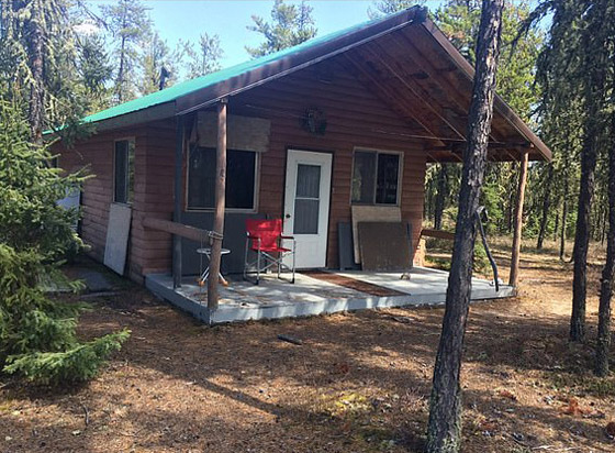هجم عليها وهي تكلم والدها.. حادث مأساوي لسيدة قتلها دب أمام طفليها! صورة رقم 4 هجم عليها وهي تكلم والدها.. حادث مأساوي لسيدة قتلها دب أمام طفليها! صورة رقم 4