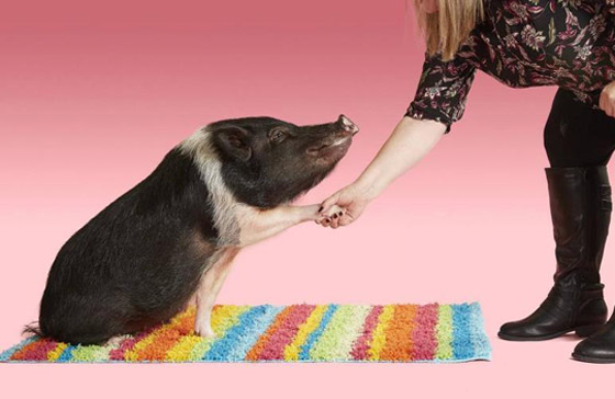 إليكم أغرب ما سُجل في موسوعة غينيس للأرقام القياسية لعام 2020! صورة رقم 3