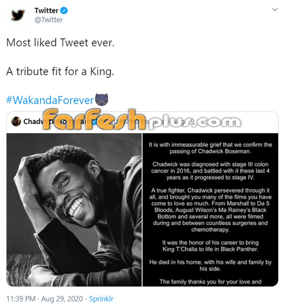 الفهد الأسود: الكشف عن التغريدة الأكثر انتشارا في تويتر لعام 2020 صورة رقم 2