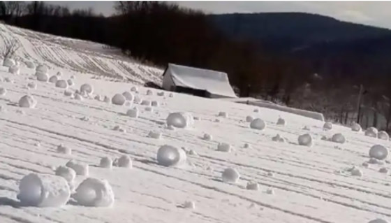 صور مفاجئة تصيب من يشاهدها بالذهول صورة رقم 5