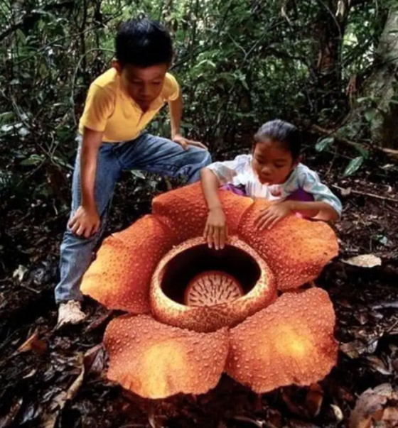 صور مفاجئة تصيب من يشاهدها بالذهول صورة رقم 9