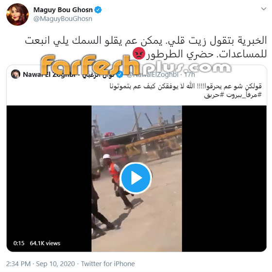 بعد حريق مرفأ بيروت الثاني: الخوف يسيطر على نجوم لبنان! صورة رقم 2