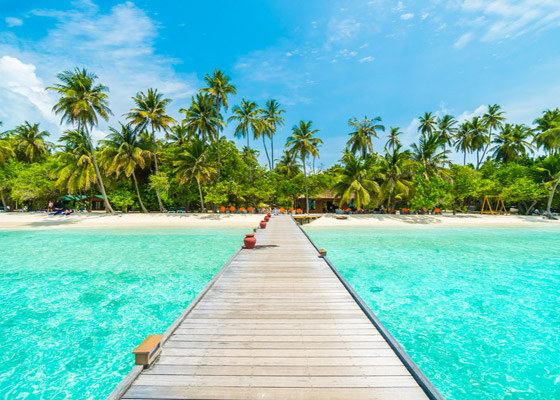 لماذا يجب أن تزور جزر المالديف الخلابة مرة واحدة على الأقل في العمر؟ صورة رقم 2