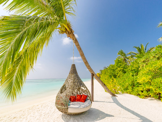 لماذا يجب أن تزور جزر المالديف الخلابة مرة واحدة على الأقل في العمر؟ صورة رقم 5