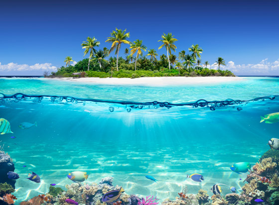 لماذا يجب أن تزور جزر المالديف الخلابة مرة واحدة على الأقل في العمر؟ صورة رقم 6