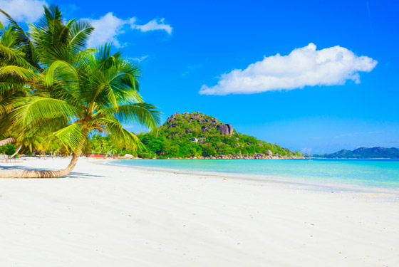 لماذا يجب أن تزور جزر المالديف الخلابة مرة واحدة على الأقل في العمر؟ صورة رقم 7