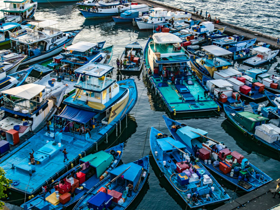 لماذا يجب أن تزور جزر المالديف الخلابة مرة واحدة على الأقل في العمر؟ صورة رقم 8