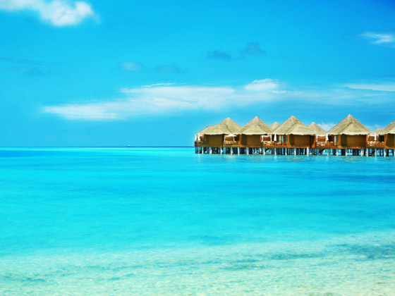 لماذا يجب أن تزور جزر المالديف الخلابة مرة واحدة على الأقل في العمر؟ صورة رقم 9