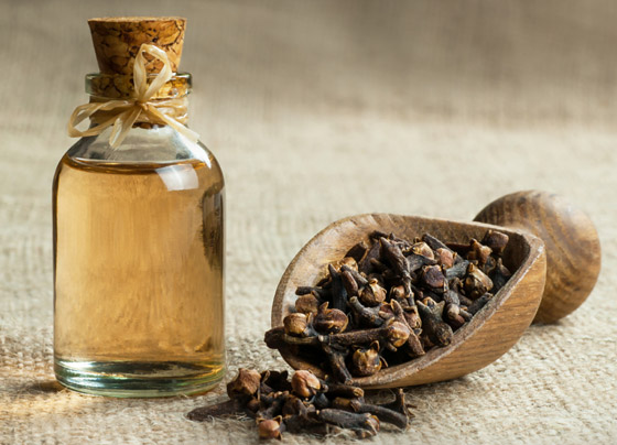 5 طرق طبيعية وحيل لمنع البعوض من الاقتراب منك! صورة رقم 3 5 طرق طبيعية وحيل لمنع البعوض من الاقتراب منك! صورة رقم 3