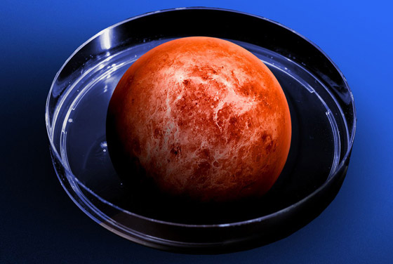 العثور على علامة ثانية للحياة على كوكب الزهرة صورة رقم 9