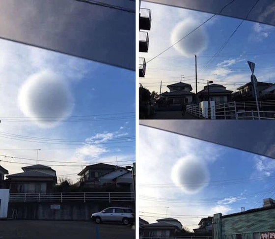 أغرب الصور التي تكشف عن غموض الطبيعة صورة رقم 3